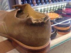 Au secours Norbert Bottier : mon chien a mordu ma chaussure ! - Norbert Bottier