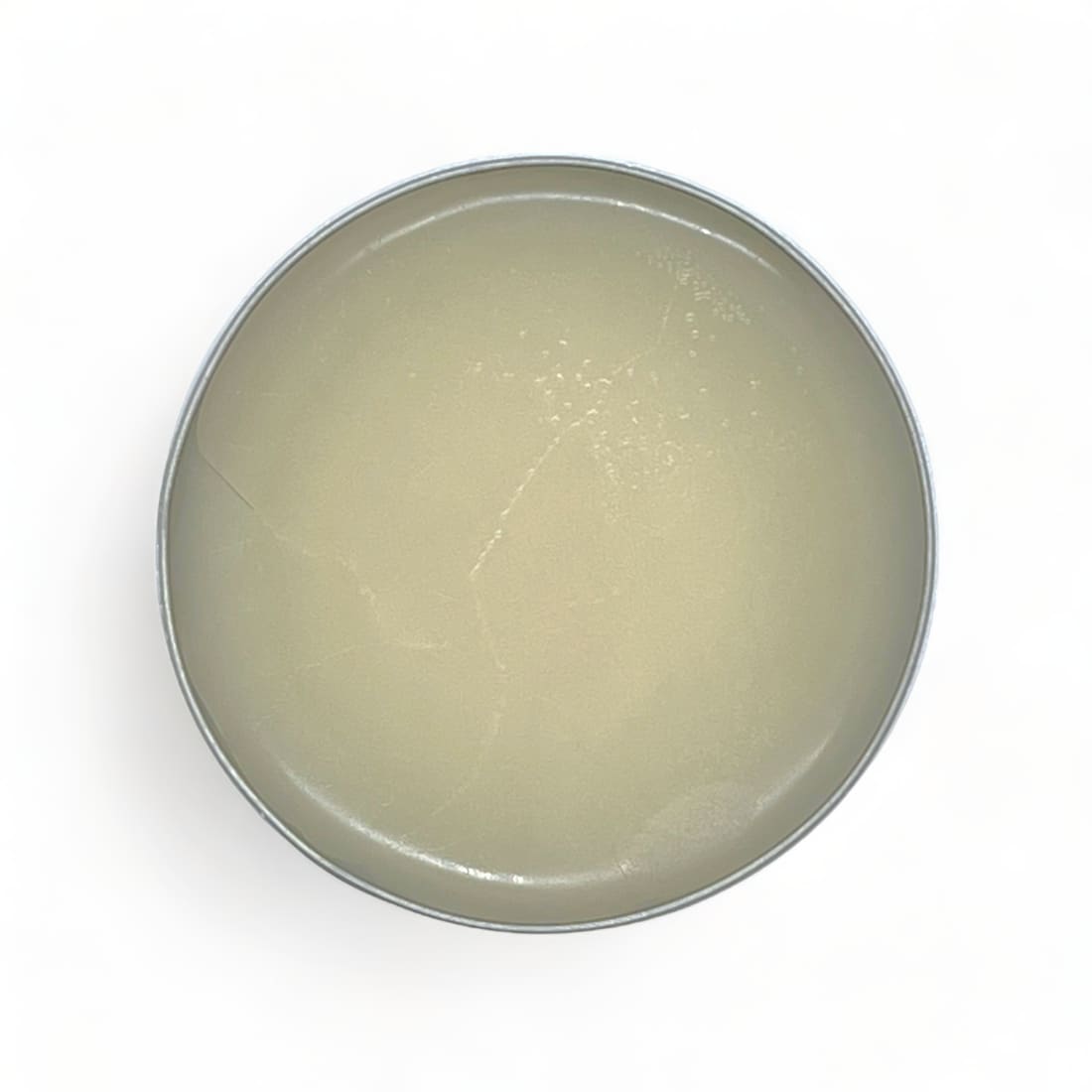 Cirage pâte de luxe Incolore - Saphir – vue 3